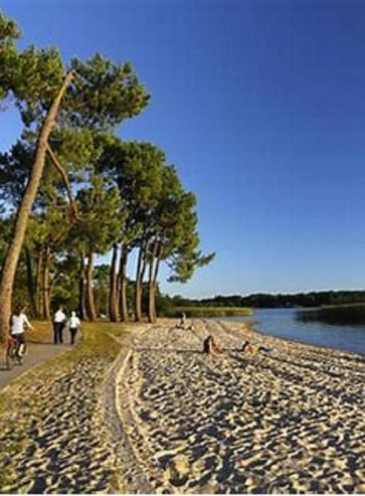 Willa Agreable Maison A 400M Du Lac Sanguinet Zewnętrze zdjęcie